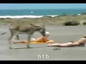 Une femme âgée avec de gros tit-sangles se balançant avec une belle arabe