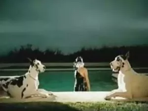 Lesbiennes se caresser les uns les autres avec des grincements