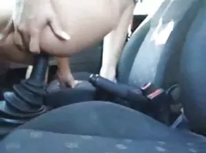 Poussin cool élevé pour le bon sexe
